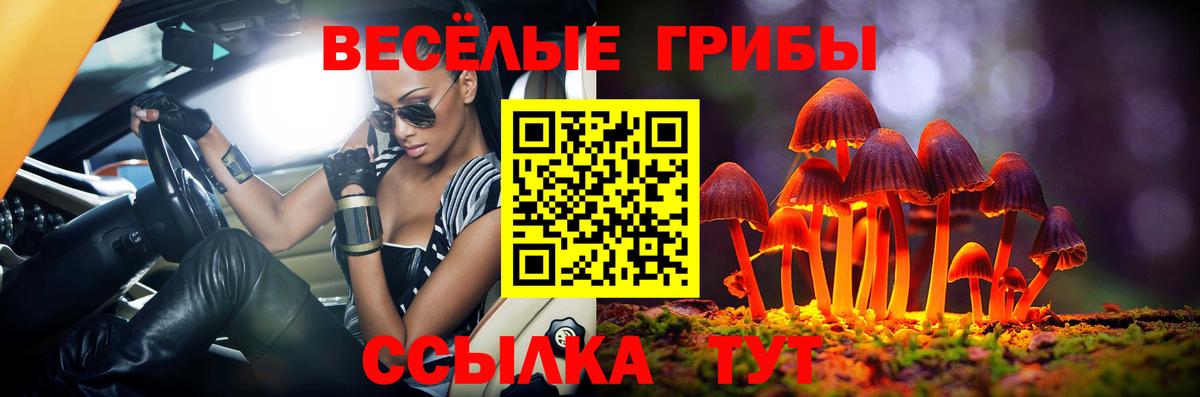 Советск  Галлюциногенные грибы мухоморы  Вход с VPN 