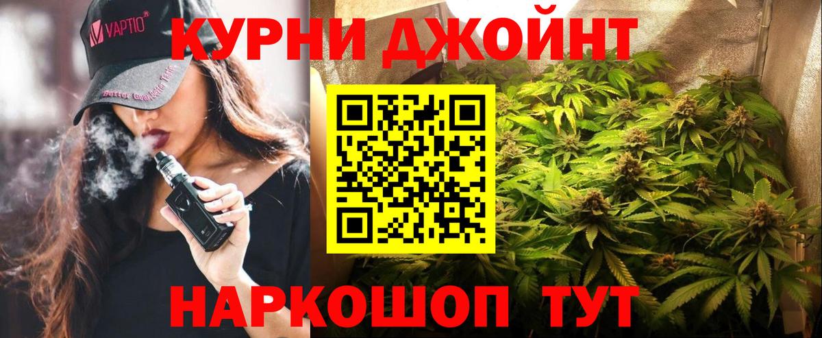 Конопля планчик Советск